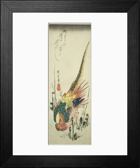 Framed Print : Golden pheasant and bracken ferns, c. 1830s. Creator: Ando Hiroshige Framed Print : Golden pheasant and bracken ferns, c. 1830s. Creator: Ando Hiroshige