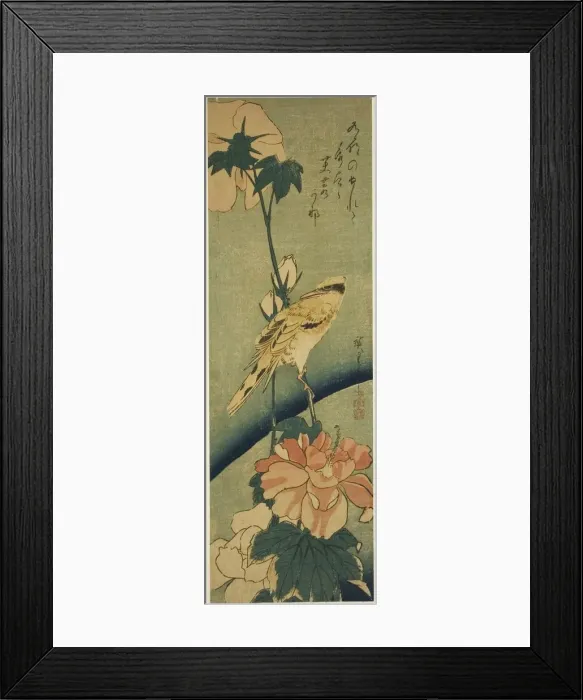 Framed Print : Blacked-naped oriole on hibiscus, mid-1830s. Creator: Ando Hiroshige Framed Print : Blacked-naped oriole on hibiscus, mid-1830s. Creator: Ando Hiroshige