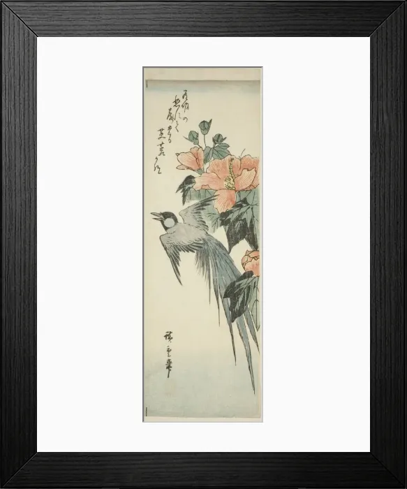 Framed Print : Long-tailed bird and hibiscus, 1830s-1840s. Creator: Ando Hiroshige Framed Print : Long-tailed bird and hibiscus, 1830s-1840s. Creator: Ando Hiroshige