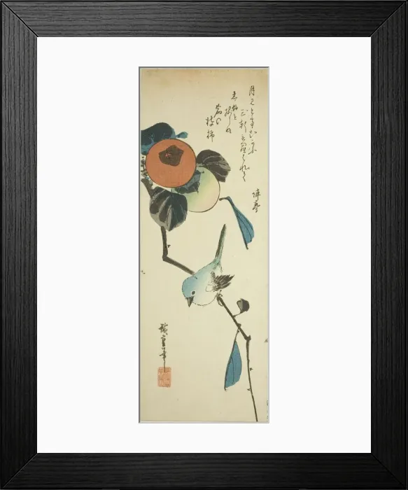 Framed Print : Japanese white-eye and persimmons, 1830s. Creator: Ando Hiroshige Framed Print : Japanese white-eye and persimmons, 1830s. Creator: Ando Hiroshige