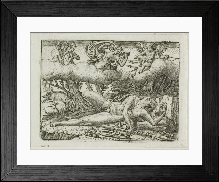 Framed Print : The Death of Adonis, n. d. Creator: Etienne Delaune Framed Print : The Death of Adonis, n. d. Creator: Etienne Delaune