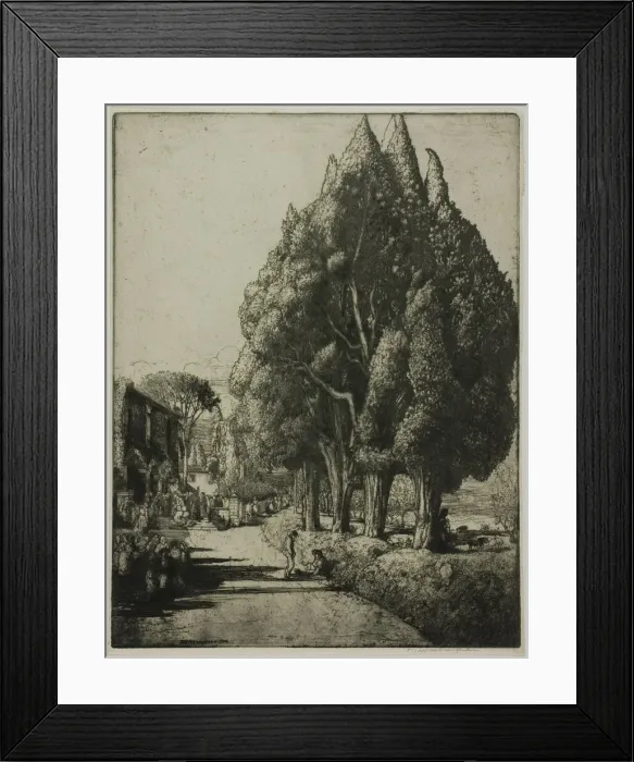 Framed Print : The Cypress Grove, 1904. Creator: Donald Shaw MacLaughlan Framed Print : The Cypress Grove, 1904. Creator: Donald Shaw MacLaughlan