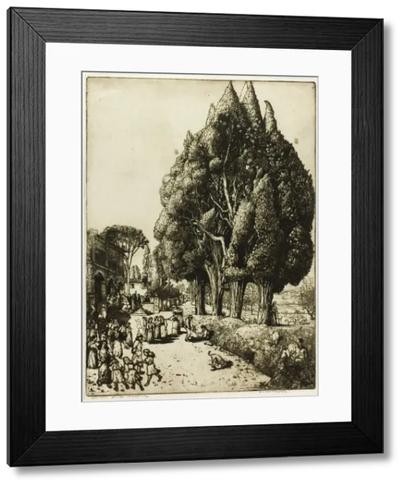 Framed Print : Cypress Grove, 1904. Creator: Donald Shaw MacLaughlan Framed Print : Cypress Grove, 1904. Creator: Donald Shaw MacLaughlan