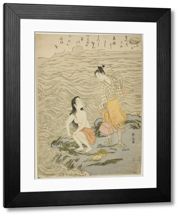 Framed Print : The Abalone (Awabi), from an untitled series of Shells, c. 1769. Creator: Suzuki Harunobu Framed Print : The Abalone (Awabi), from an untitled series of Shells, c. 1769. Creator: Suzuki Harunobu