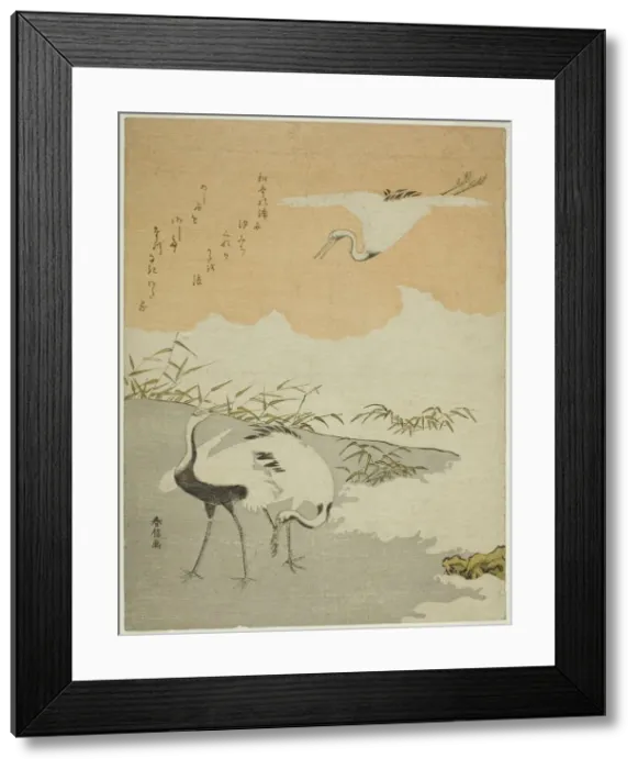 Framed Print : Cranes at the Sea Shore, c. 1768. Creator: Suzuki Harunobu Framed Print : Cranes at the Sea Shore, c. 1768. Creator: Suzuki Harunobu