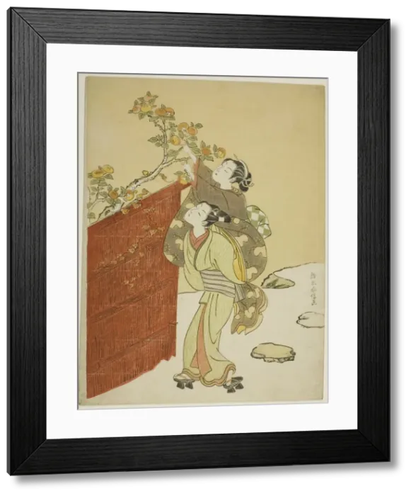Framed Print : Picking Persimmons, c. 1767 / 68. Creator: Suzuki Harunobu Framed Print : Picking Persimmons, c. 1767 / 68. Creator: Suzuki Harunobu