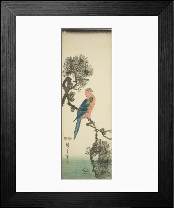 Framed Print : Macaw on pine branch, c. 1847 / 52. Creator: Ando Hiroshige Framed Print : Macaw on pine branch, c. 1847 / 52. Creator: Ando Hiroshige