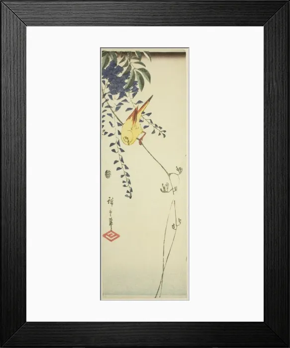 Framed Print : Canary and wisteria, c. 1843 / 47. Creator: Ando Hiroshige Framed Print : Canary and wisteria, c. 1843 / 47. Creator: Ando Hiroshige
