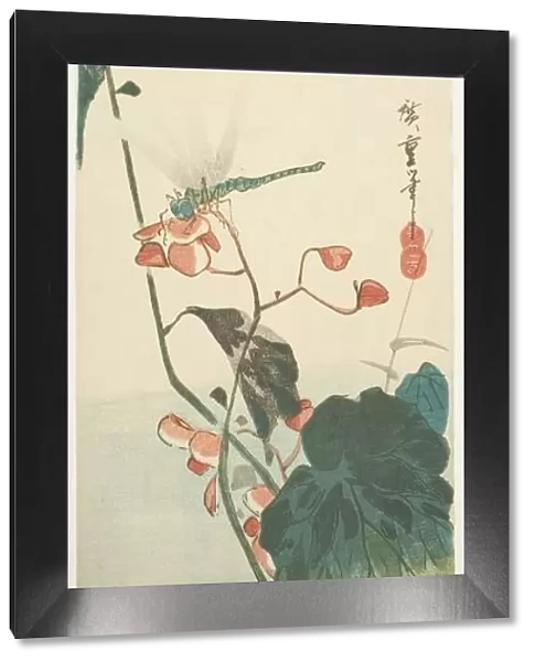 Dragonfly and begonia, 1830s. Creator: Ando Hiroshige
