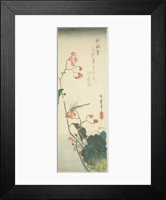 Framed Print : Dragonfly and begonia, 1830s. Creator: Ando Hiroshige Framed Print : Dragonfly and begonia, 1830s. Creator: Ando Hiroshige