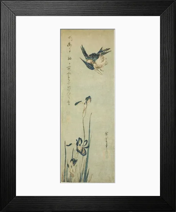 Framed Print : Kingfisher and iris, 1830s. Creator: Ando Hiroshige Framed Print : Kingfisher and iris, 1830s. Creator: Ando Hiroshige
