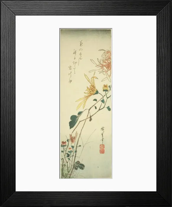 Framed Print : Chrysanthemums, c. 1840. Creator: Ando Hiroshige Framed Print : Chrysanthemums, c. 1840. Creator: Ando Hiroshige