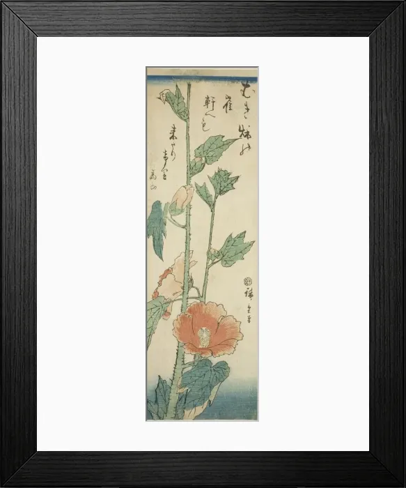 Framed Print : Hibiscus, c. 1843 / 47. Creator: Ando Hiroshige Framed Print : Hibiscus, c. 1843 / 47. Creator: Ando Hiroshige