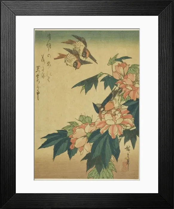 Framed Print : Swallows, kingfisher, and hibiscus, c. 1830s. Creator: Ando Hiroshige Framed Print : Swallows, kingfisher, and hibiscus, c. 1830s. Creator: Ando Hiroshige