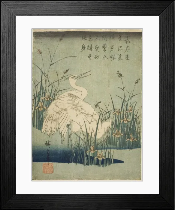 Framed Print : White herons and iris, c. 1830s. Creator: Ando Hiroshige Framed Print : White herons and iris, c. 1830s. Creator: Ando Hiroshige