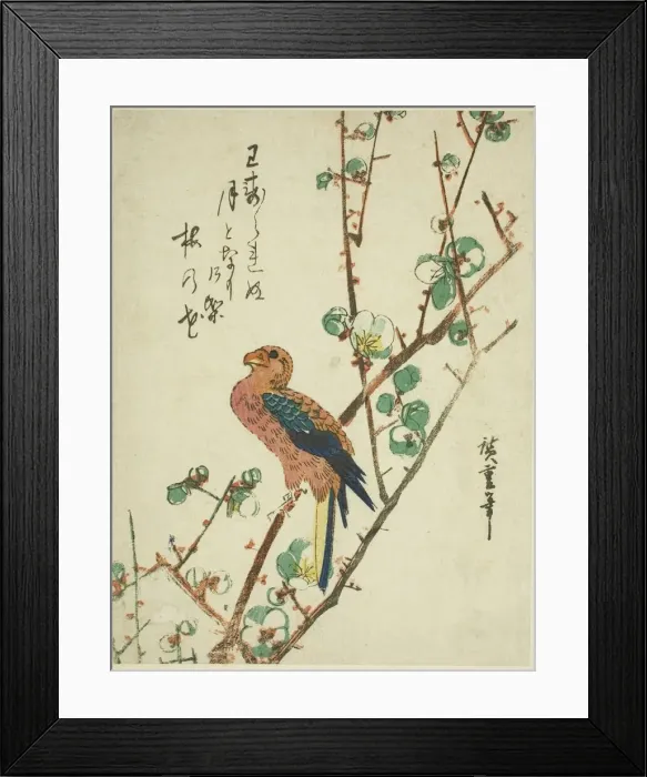 Framed Print : Parrot on plum tree, 1830s. Creator: Ando Hiroshige Framed Print : Parrot on plum tree, 1830s. Creator: Ando Hiroshige