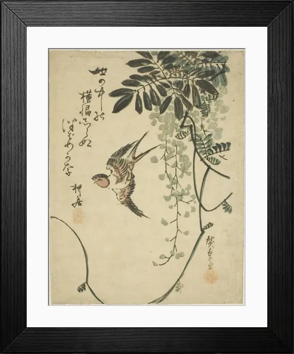 Framed Print : Swallow and wisteria, n. d. Creator: Ando Hiroshige Framed Print : Swallow and wisteria, n. d. Creator: Ando Hiroshige