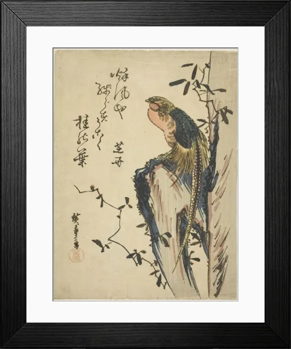 Framed Print : Golden pheasant, 1830s. Creator: Ando Hiroshige Framed Print : Golden pheasant, 1830s. Creator: Ando Hiroshige