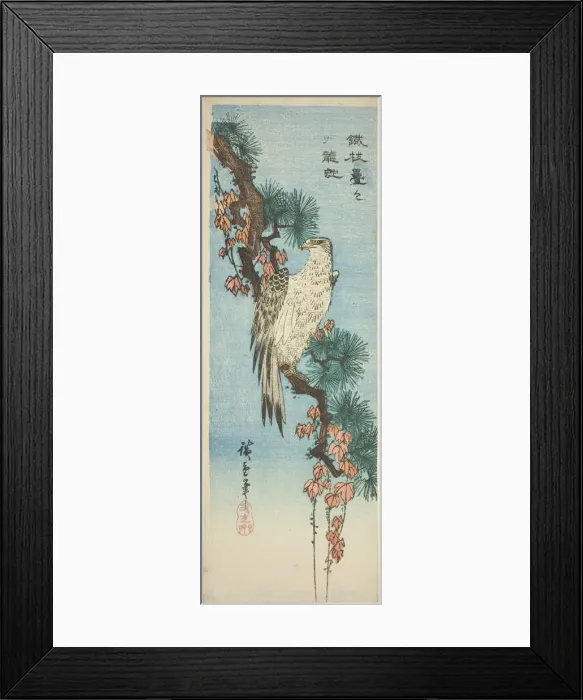 Framed Print : Falcon on ivy-covered pine branch, 1830s. Creator: Ando Hiroshige Framed Print : Falcon on ivy-covered pine branch, 1830s. Creator: Ando Hiroshige