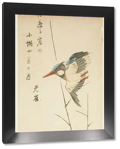 Kingfisher above a Yellow-flowered Water Plant, 1853, third month. Creator: Ando Hiroshige