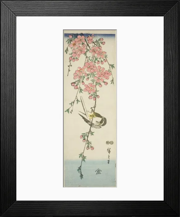 Framed Print : Great tit and cherry blossoms, c. 1847 / 52. Creator: Ando Hiroshige Framed Print : Great tit and cherry blossoms, c. 1847 / 52. Creator: Ando Hiroshige
