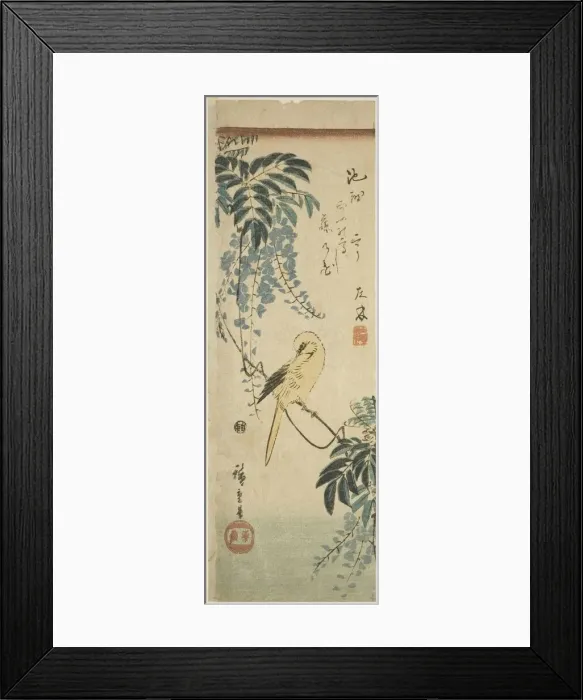 Framed Print : Canary and wisteria, c. 1843 / 47. Creator: Ando Hiroshige Framed Print : Canary and wisteria, c. 1843 / 47. Creator: Ando Hiroshige