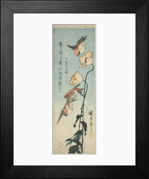 Framed Print : Sparrows and poppies, 1850s. Creator: Ando Hiroshige Framed Print : Sparrows and poppies, 1850s. Creator: Ando Hiroshige