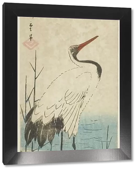 Crane and sun, c. 1843 / 47. Creator: Ando Hiroshige