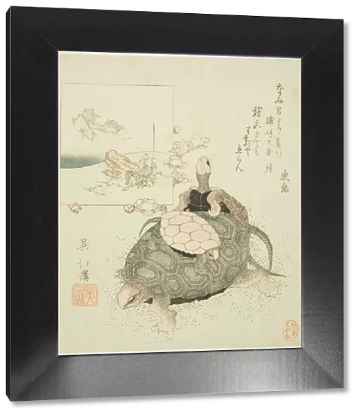 Sea turtles and Urashima Taro, c. 1825. Creator: Totoya Hokkei