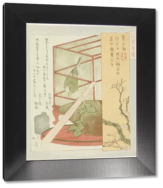 Warbler in a cage, from the series 'A Series for the Hanazono Group