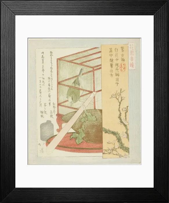 Framed Print : Warbler in a cage, from the series A Series for the Hanazono Group Framed Print : Warbler in a cage, from the series A Series for the Hanazono Group