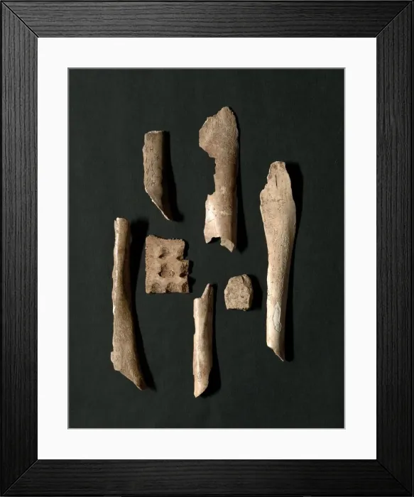 Framed Print : Oracle Bones (76 total), Shang dynasty (about 1600-1046 BC). Creator: Unknown Framed Print : Oracle Bones (76 total), Shang dynasty (about 1600-1046 BC). Creator: Unknown
