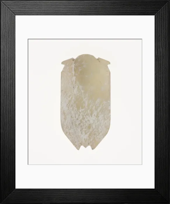 Framed Print : Cicada, Han dynasty (206 B. C. -A. D. 220). Creator: Unknown Framed Print : Cicada, Han dynasty (206 B. C. -A. D. 220). Creator: Unknown