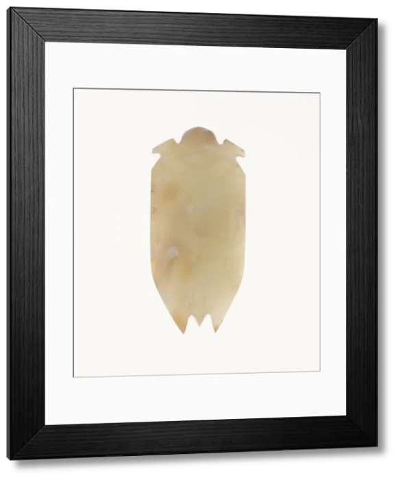 Framed Print : Cicada, Han dynasty (206 B. C. -A. D. 220). Creator: Unknown Framed Print : Cicada, Han dynasty (206 B. C. -A. D. 220). Creator: Unknown