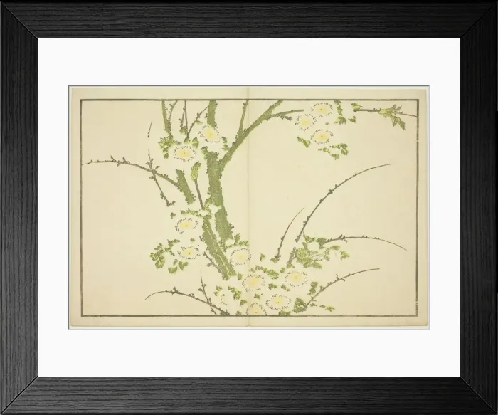 Framed Print : Flowers, from The Picture Book of Realistic Paintings of Hokusai (Hokusai shashin) Framed Print : Flowers, from The Picture Book of Realistic Paintings of Hokusai (Hokusai shashin)