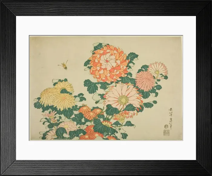 Framed Print : Chrysanthemums and Bee, from an untitled series of Large Flowers, Japan, c. 1831-33 Framed Print : Chrysanthemums and Bee, from an untitled series of Large Flowers, Japan, c. 1831-33