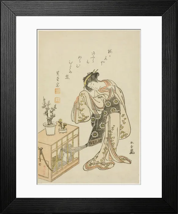 Framed Print : Young Woman with a Caged Monkey (Calendar Print for New Year 1776), Japan, 1776. Creator: Shunsho Framed Print : Young Woman with a Caged Monkey (Calendar Print for New Year 1776), Japan, 1776. Creator: Shunsho