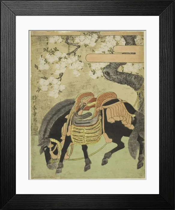 Framed Print : Black Horse Tethered under a Blossoming Cherry Tree, Japan, c. 1770. Creator: Shunsho Framed Print : Black Horse Tethered under a Blossoming Cherry Tree, Japan, c. 1770. Creator: Shunsho