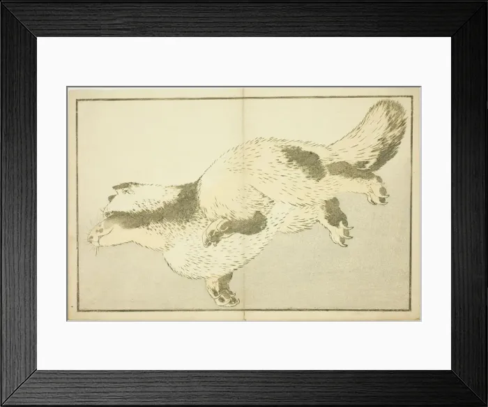 Framed Print : Fox, from The Picture Book of Realistic Paintings of Hokusai (Hokusai shashin gafu) Framed Print : Fox, from The Picture Book of Realistic Paintings of Hokusai (Hokusai shashin gafu)
