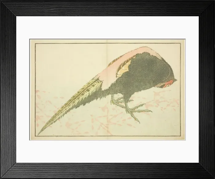 Framed Print : Male Pheasant, from The Picture Book of Realistic Paintings of Hokusai (Hokusai) Framed Print : Male Pheasant, from The Picture Book of Realistic Paintings of Hokusai (Hokusai)