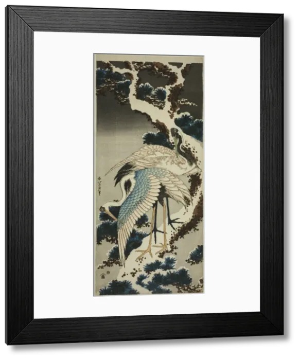 Framed Print : Cranes on snow-covered pine, Japan, c. 1834. Creator: Hokusai Framed Print : Cranes on snow-covered pine, Japan, c. 1834. Creator: Hokusai