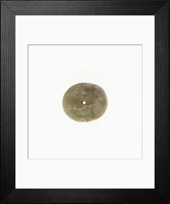 Framed Print : Plaque with Coiled Dragon, Western Zhou period, 10th / 9th century B. C. Creator: Unknown Framed Print : Plaque with Coiled Dragon, Western Zhou period, 10th / 9th century B. C. Creator: Unknown