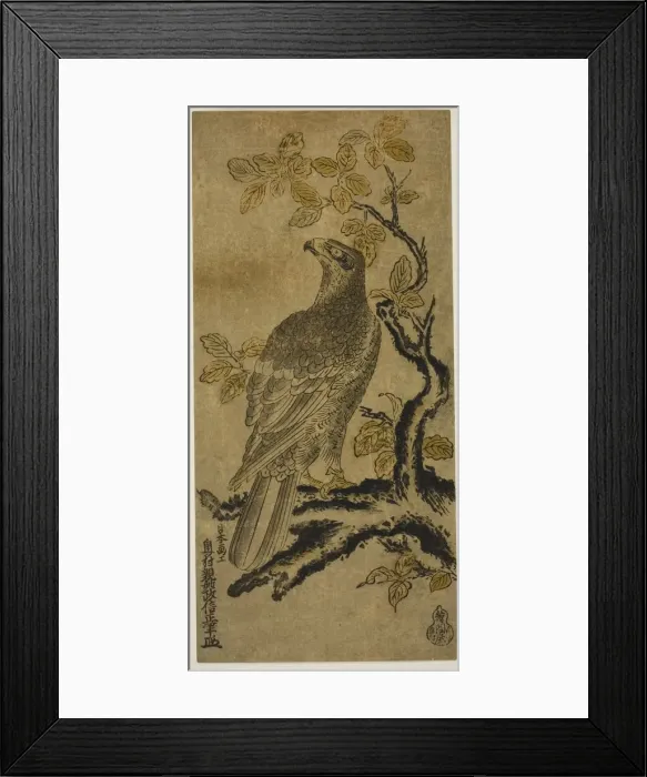 Framed Print : A Hawk on a Kiri Tree, c. 1720 / 25. Creator: Okumura Masanobu Framed Print : A Hawk on a Kiri Tree, c. 1720 / 25. Creator: Okumura Masanobu