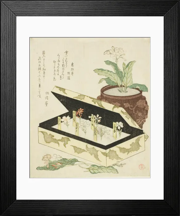 Framed Print : Primroses, Japan, c. 1810s. Creator: Kubo Shunman Framed Print : Primroses, Japan, c. 1810s. Creator: Kubo Shunman