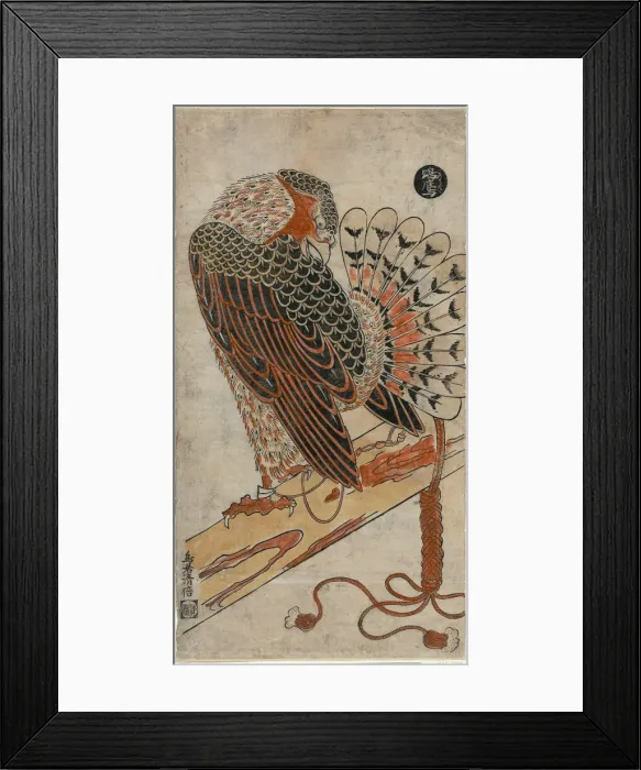 Framed Print : Sparrowhawk (Konori taka), c. 1716. Creator: Torii Kiyomasu I Framed Print : Sparrowhawk (Konori taka), c. 1716. Creator: Torii Kiyomasu I