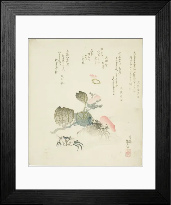 Framed Print : Two crabs by a spray of camellia, Japan, late 1820s-early 1830s Framed Print : Two crabs by a spray of camellia, Japan, late 1820s-early 1830s