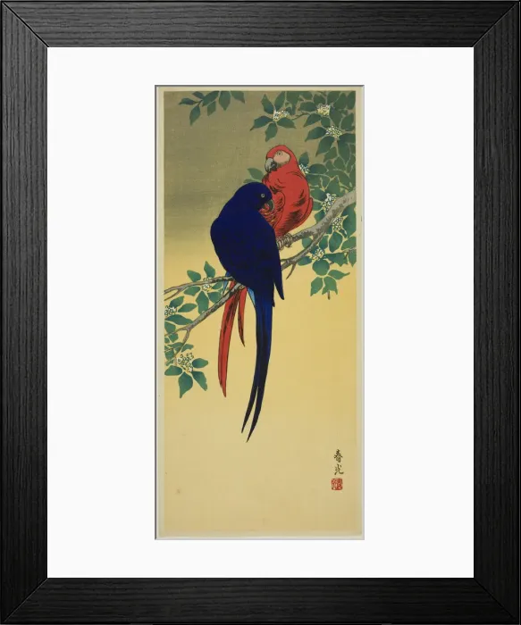 Framed Print : Blue and Red Macaws, n. d. Creator: Shunko Framed Print : Blue and Red Macaws, n. d. Creator: Shunko
