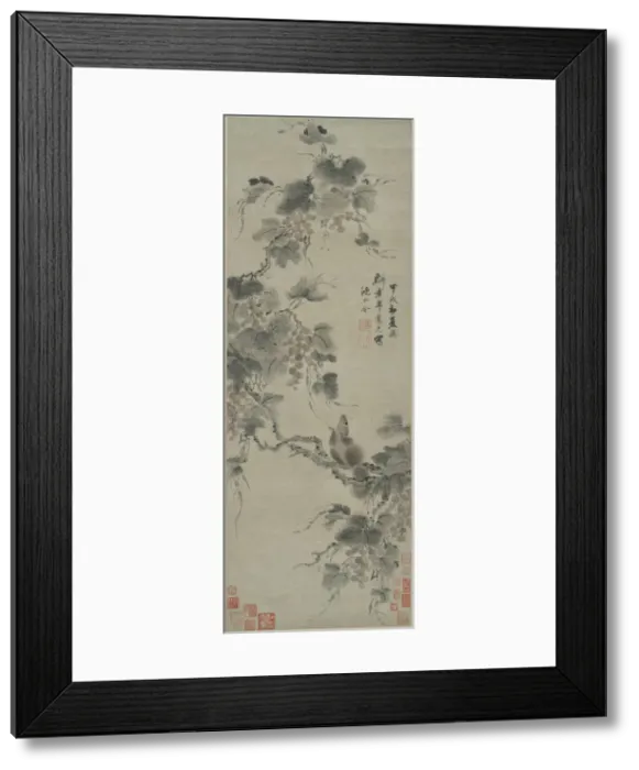 Framed Print : Squirrel and Grapes, 1694. Creator: Shen Yongling Framed Print : Squirrel and Grapes, 1694. Creator: Shen Yongling