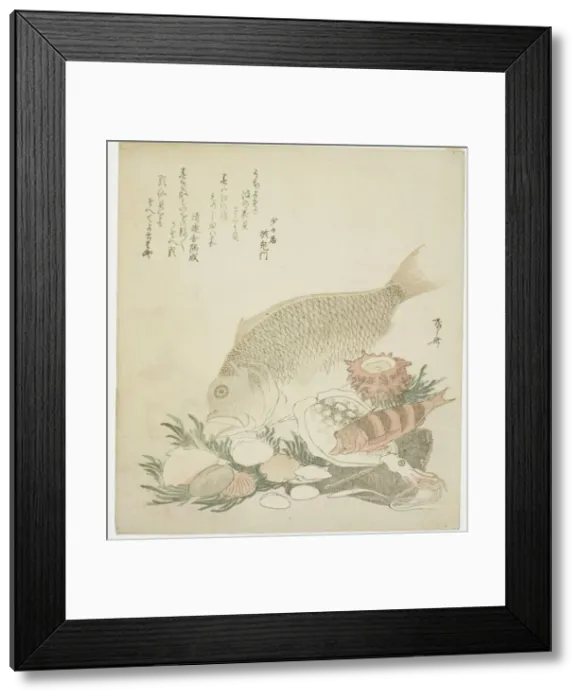 Framed Print : Fish and shells, 1821. Creator: Shinsai Framed Print : Fish and shells, 1821. Creator: Shinsai