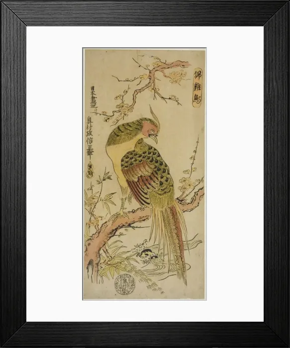 Framed Print : Golden Pheasant (Kinkeicho), c. 1720 / 25. Creator: Okumura Masanobu Framed Print : Golden Pheasant (Kinkeicho), c. 1720 / 25. Creator: Okumura Masanobu